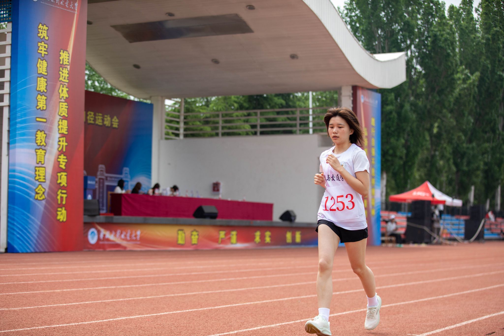 【组图】乐鱼真人体育娱乐新手怎么玩举