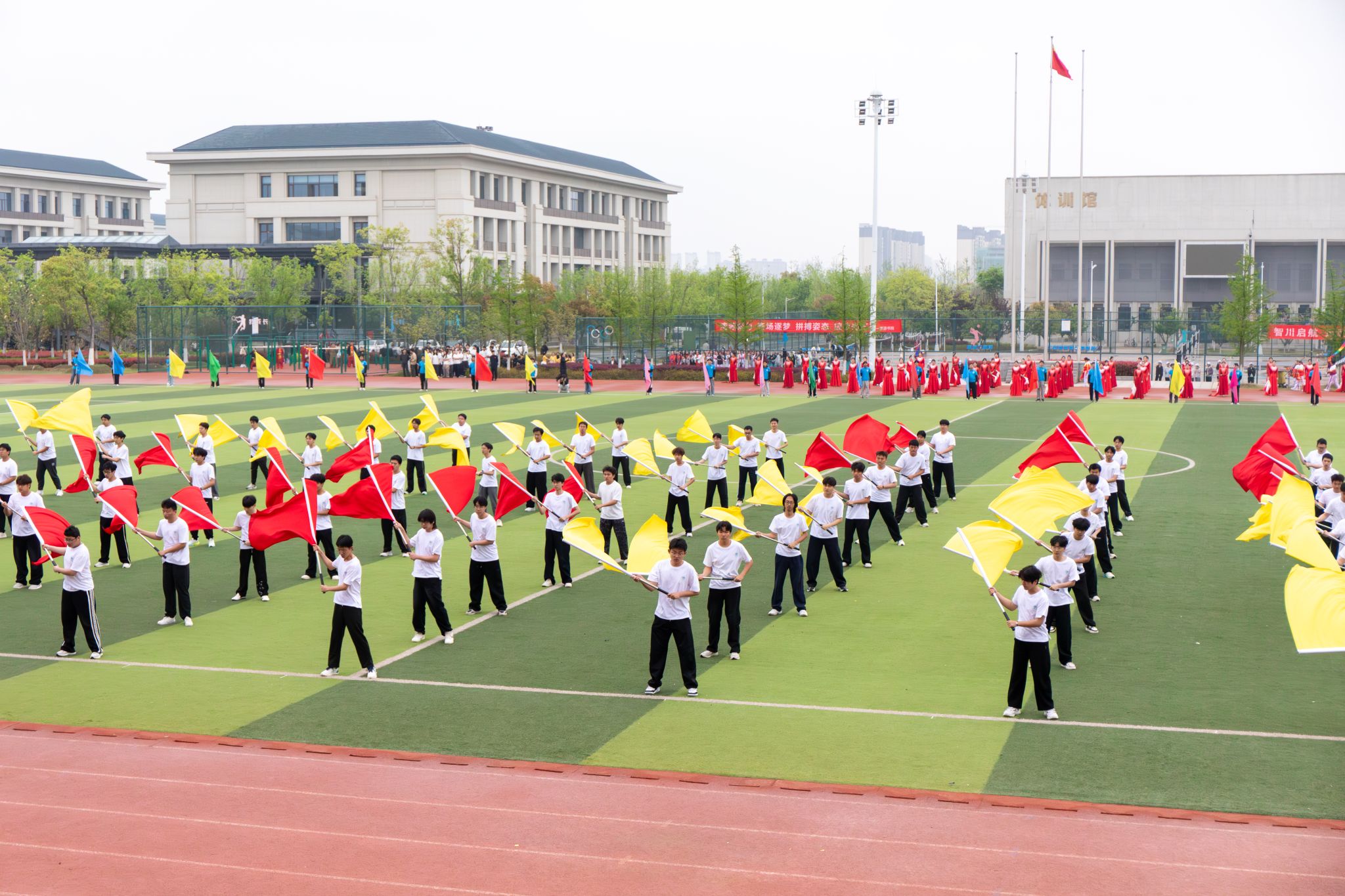 【组图】乐鱼真人体育娱乐新手怎么玩举