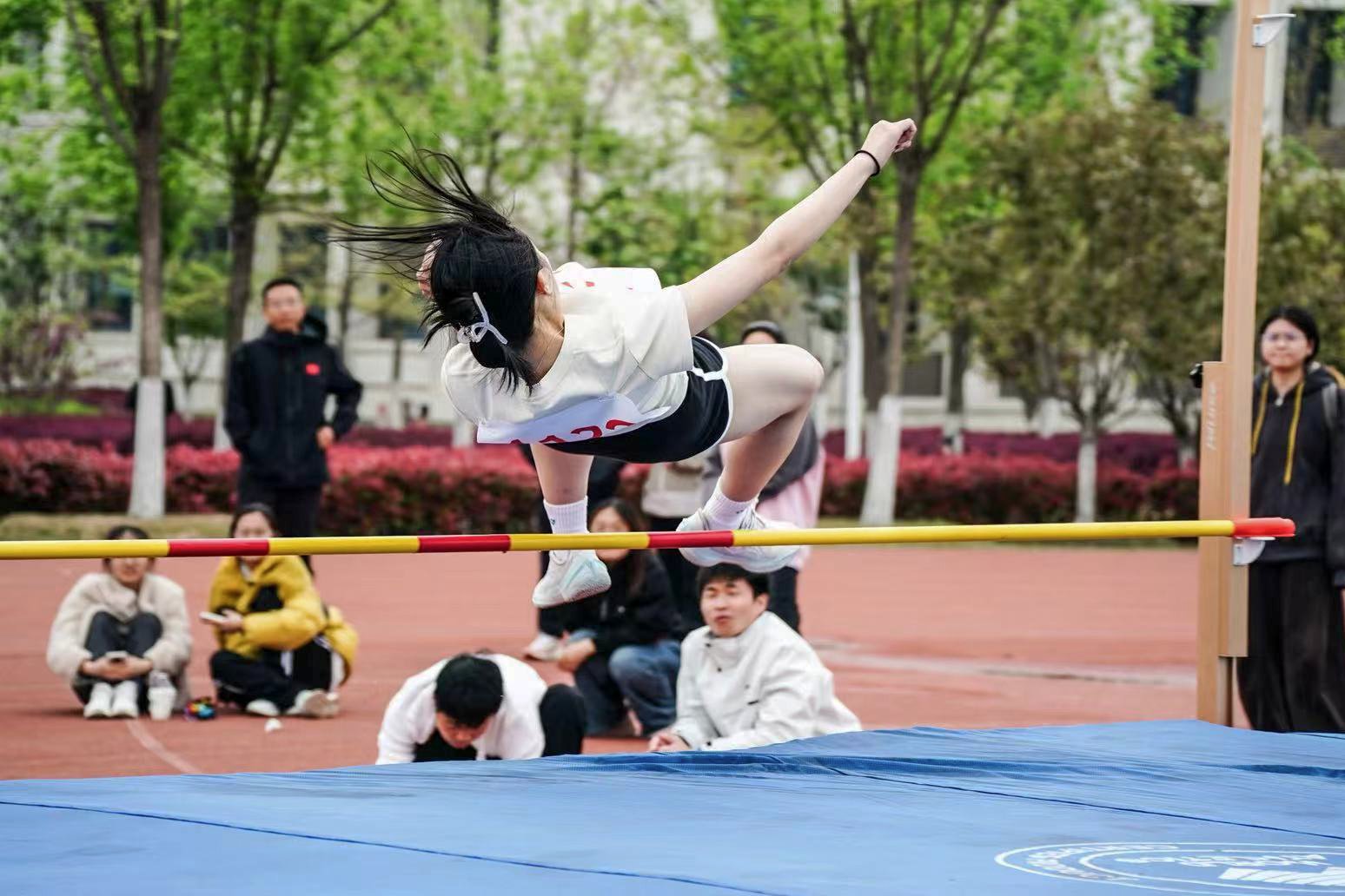 乐鱼真人体育娱乐