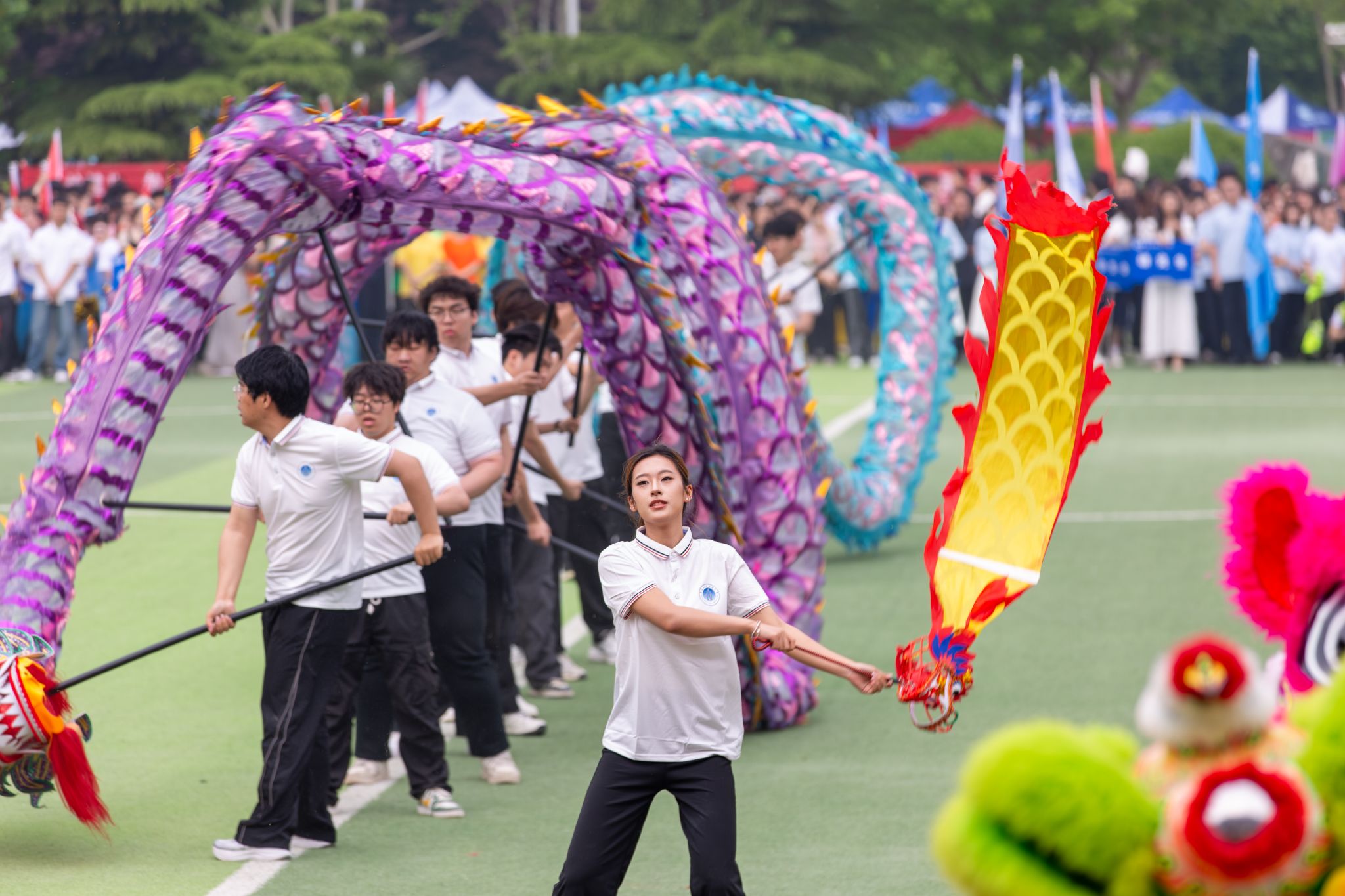 乐鱼真人体育娱乐新手怎么玩龙子湖校区