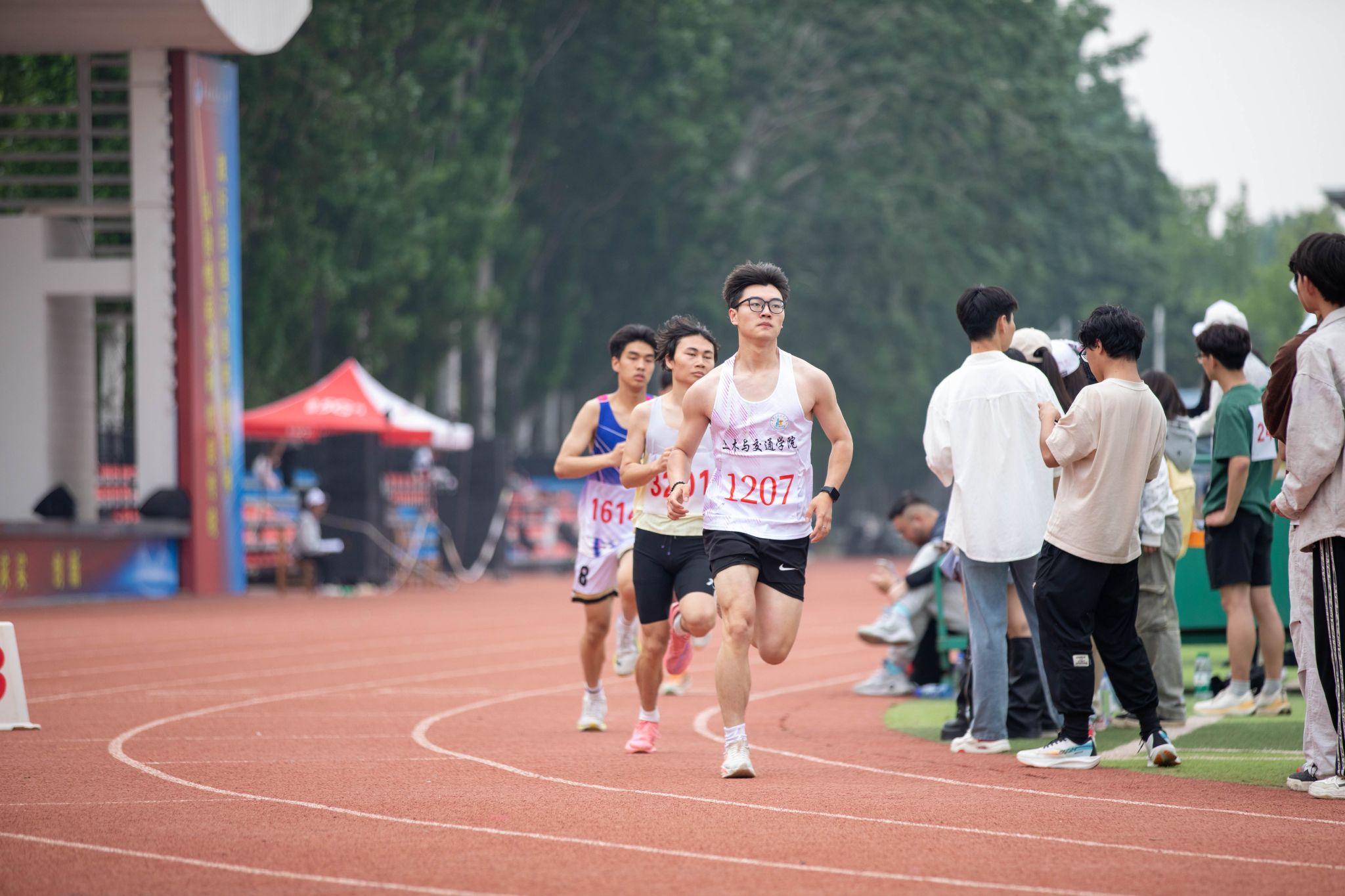 乐鱼真人体育娱乐新手怎么玩