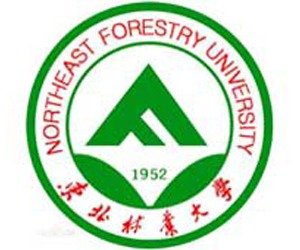 乐鱼体育app成为皇家马德里全球官方